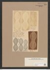 Navicula coarctata Ehrh. (de-Toni-Nr.: Genus 1, Species 263) Zeichnungen Sammlung Grunow Nr. 605 (NHMW-BOT-W0366965)
